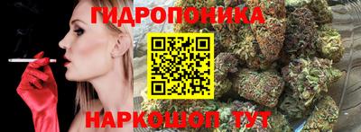 гашик Кинель