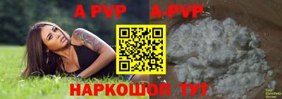 гашик Кинель